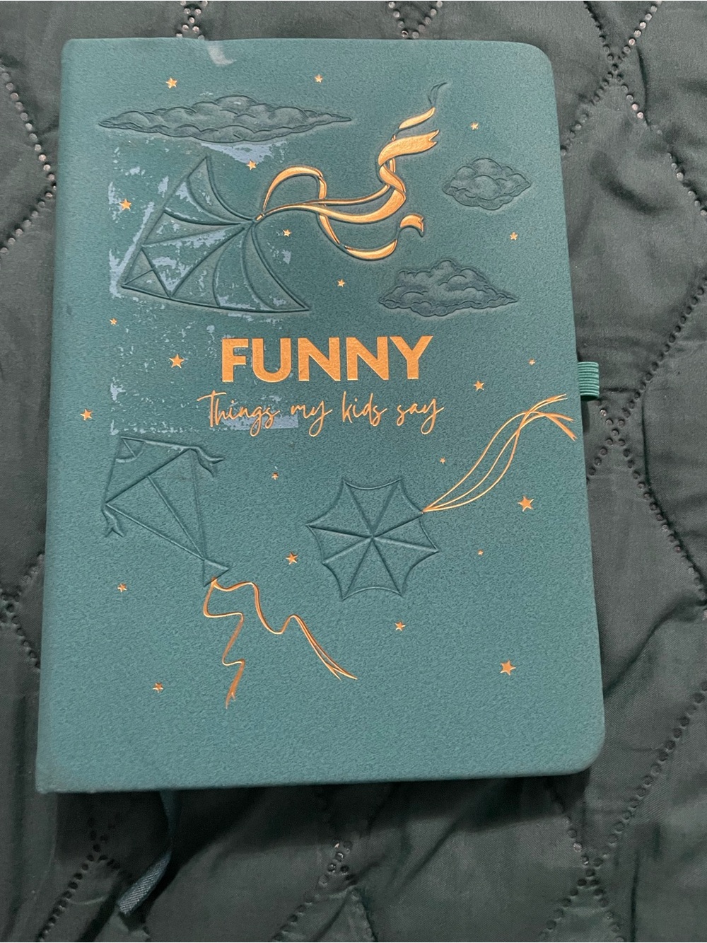 FUNNY Teal Notebook - Things My Kids Say
